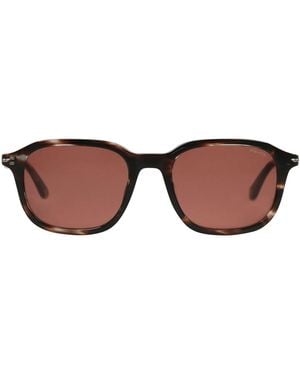 Police Sunglasses - Brown