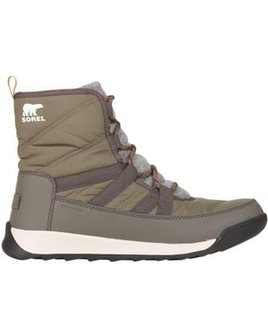 Sorel Ankle Boots - Brown
