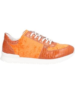 Testoni Trainers - Orange