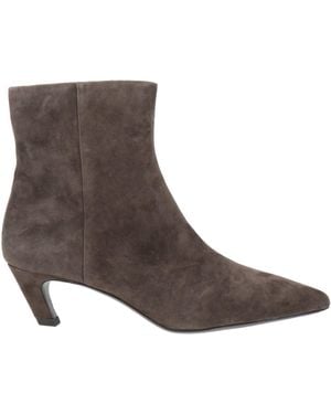 Ash Bottines - Marron
