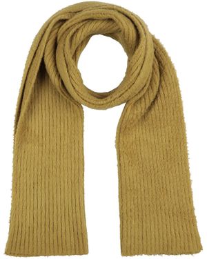 Grifoni Mustard Scarf Cotton, Polyamide, Elastane - Green