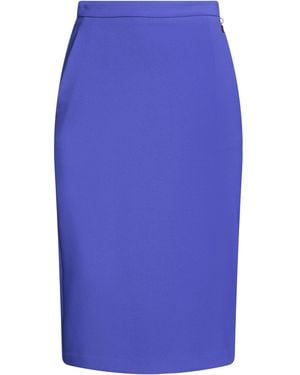 Elisabetta Franchi Midi Skirt - Blue