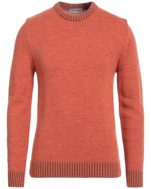Daniele Alessandrini Sweater Wool, Acrylic, Alpaca Wool - Pink