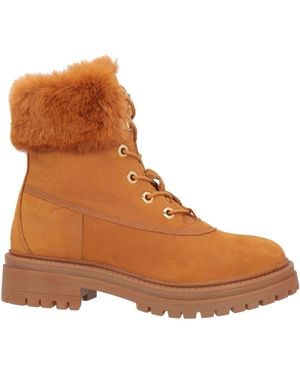 Geox Ankle Boots - Brown