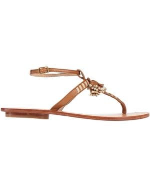 Maliparmi Thong Sandals - Brown