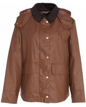 Barbour Chaqueta y Cazadora - Marrón