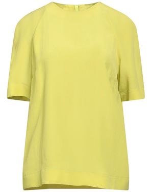 Maliparmi Lime Top Acetate, Silk - Yellow