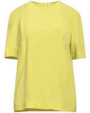 Maliparmi Lime Top Acetate, Silk - Yellow