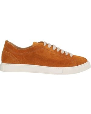 Baldinini Sneakers - Brown