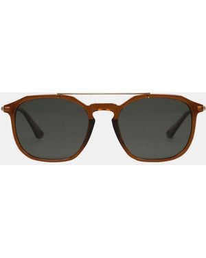 Police Sunglasses - Brown
