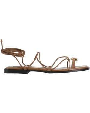 NODALETO Thong Sandal - Brown