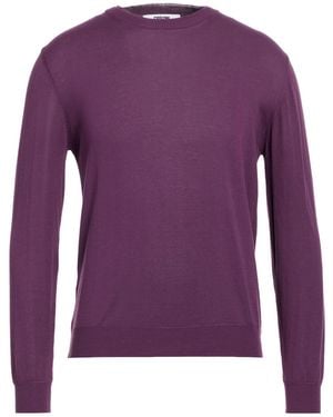 Grifoni Pullover - Viola