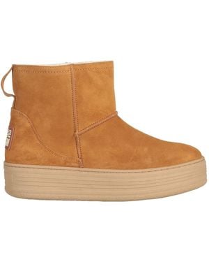 Steve Madden Stiefelette - Braun