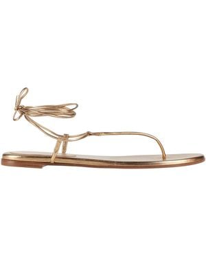 Sergio Rossi Thong Sandal - Natural