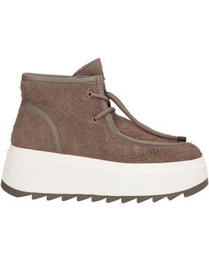 Ash Bottines - Marron