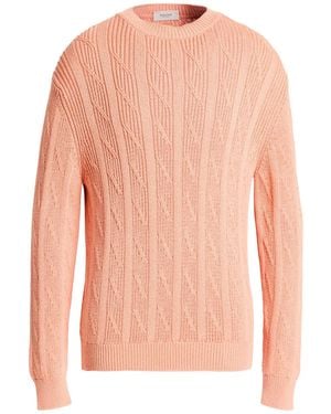 Agnona Jumper Silk, Cotton - Pink