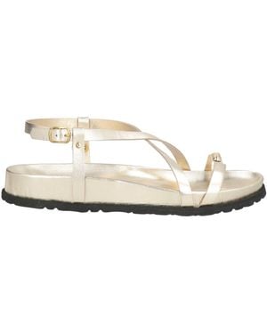Divine Follie Thong Sandal Leather - White