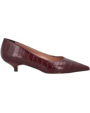 Divine Follie Pumps - Braun