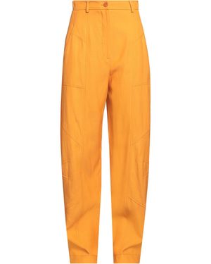 Alberta Ferretti Trouser - Orange