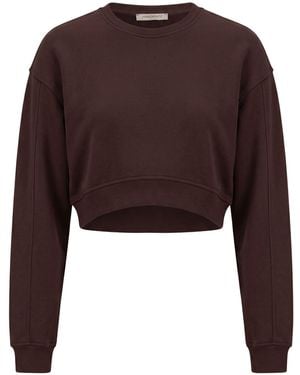 hinnominate Sweatshirts - Brown