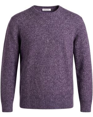 Kangra Sweater Cotton, Alpaca Wool, Polyamide, Wool, Elastane - Purple