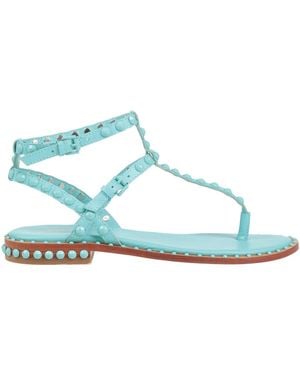Ash Thong Sandals - Blue