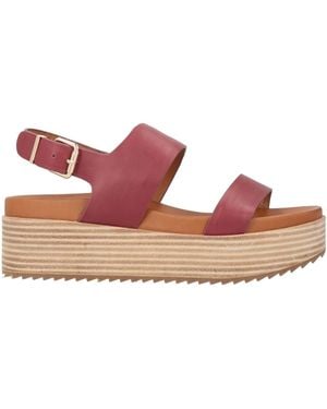 Rahya Grey Sandals - Pink