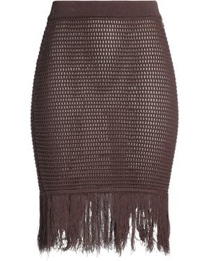 Elisabetta Franchi Mini Skirts - Brown