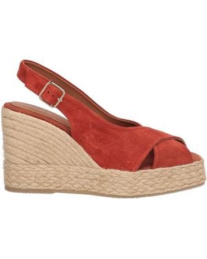 Palomitas By Paloma Barcelo' Espadrilles - Pink