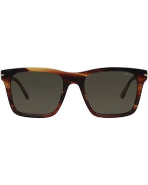 Police Sunglasses - Brown