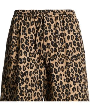Aspesi Shorts & Bermuda Shorts Cotton, Elastane - Black