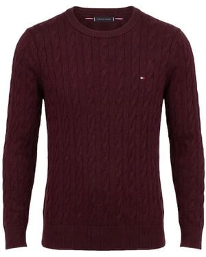 Tommy Hilfiger Sweater - Purple