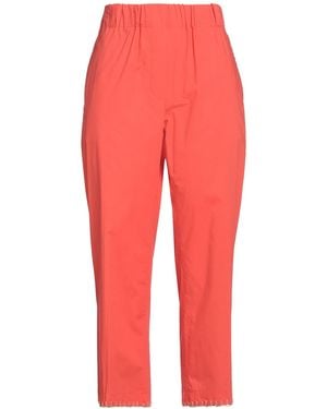 Balia 8.22 Coral Pants Cotton - Red