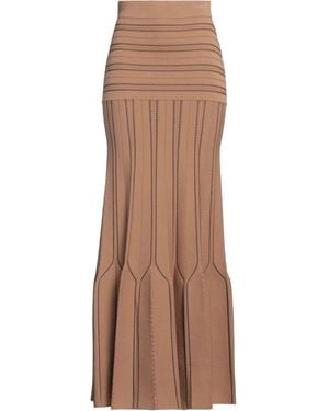 Elisabetta Franchi Maxi Skirt - Brown