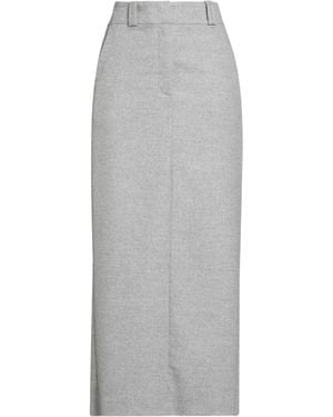Peserico Maxi Skirts - Gray
