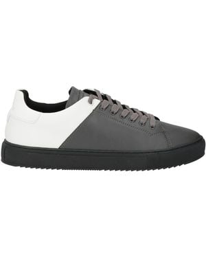 Cerruti 1881 Trainers - Black