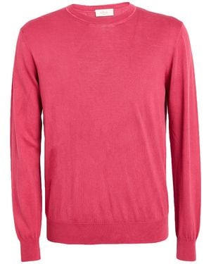 Altea Jumper - Pink
