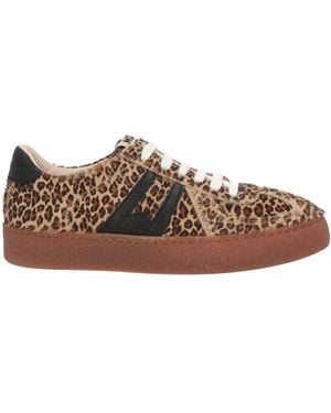 Moma Sneakers - Marrone