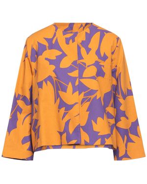 Niu Americana - Naranja