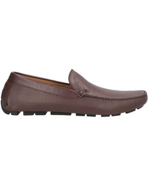 Baldinini Dark Loafers Calfskin - Brown