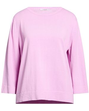 Kangra Sweater Cotton - Pink