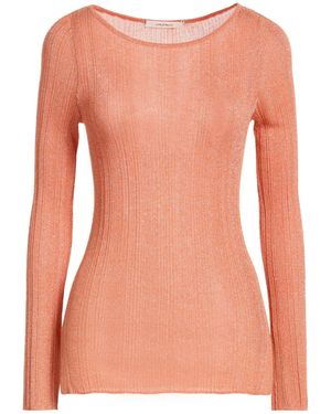 Maliparmi Jumpers - Pink