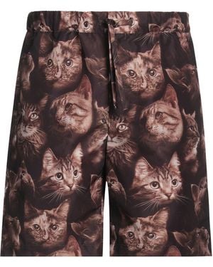 Daniele Alessandrini Shorts & Bermuda Shorts - Brown