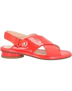 Agl Attilio Giusti Leombruni Sandalias - Rojo
