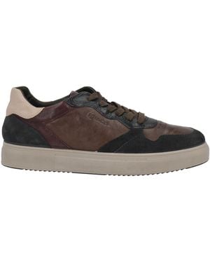Igi&co Sneakers Calfskin - Brown