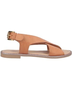 Carlo Pazolini Sandals - Multicolor