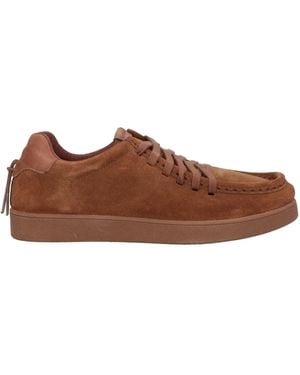 Barracuda Lace-up Shoes - Brown