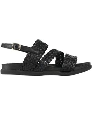 Divine Follie Sandals Leather - Black