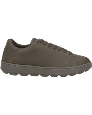 Geox Sneakers - Brown