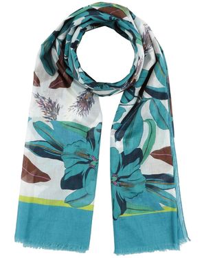 Luisa Cerano Scarf Cotton - Blue